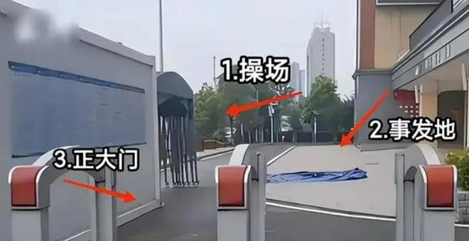 回顾：武汉一小学生被老师撞死母亲愤而跳楼背后原因令人心悸(图3)